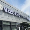 뷰티펫하우스 이미지