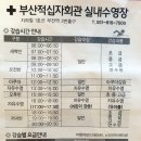 부산적십자회관수영장 이미지