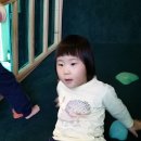 붕붕카프라자 이미지