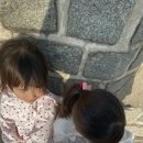 수원-0487 네이버블로그