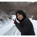 봉황자연휴양림 이미지