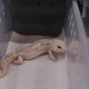 브리딩 팜 이미지