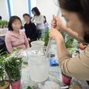 아이비학원 | 원주시 통계청 힐링직원교육 힐링식물심기 휴식정원 기업원데이출강