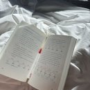 한마음산후조리원 | 맘스힐산후조리원 vs 한마음산후조리원 상담후 선택 후기(마사지,밥)