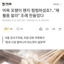 어묵꼬치 재사용 제한하는 강서구 이미지