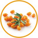 에이플농장 이미지