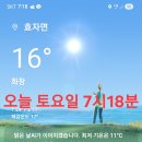 천마약초