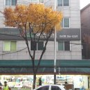 에스마트 이미지