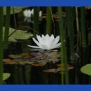 복내마을 영농조합법인 이미지