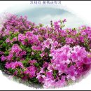 2012년 5월 남원 봉화산 정기 철쭉산행 안내 이미지