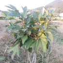 순열농장 이미지