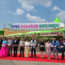 대구장터 이미지