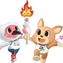 도민태권도장 이미지