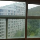 자곡맑은약국 이미지