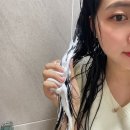 메리블라썸 이미지
