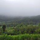 산자락 이미지
