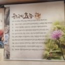 청룡마을1길 8 이미지