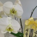 봉담척마디의원 이미지