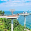 스카이밸리 이미지