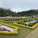 외도보타니아 이미지