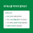 그린잇츠 | 채소 챙겨 먹기 힘들다면? 잇츠 그린 샐러드 2주 후기
