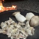 두부삼촌캠프 이미지