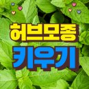 허브 이미지