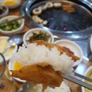 소와돼지방 이미지