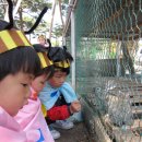 안의어린이집 이미지