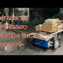 폐지는 사랑을 싣고~♥ (feat. 장선순 어르신) 이미지