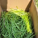 대일2농장 이미지