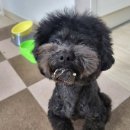 위닝푸드 이미지