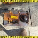 신정현대약국 이미지