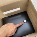 수정벌마야 이미지