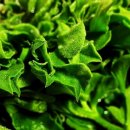 엄마농장 이미지