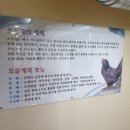 일산오골계참숯불구이 이미지