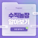 프로젝트 파이브 이미지
