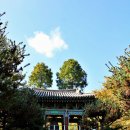 응석사주차장 이미지