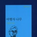 청록나무