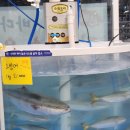 금미식품 이미지