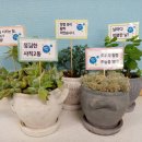 사직2동-1 이미지