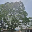 경기둘레길 포천16코스 이미지