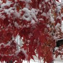 용산 공예관 이미지