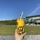 (주)유엔아이컴퍼니 | [월드디제이페스티벌 WDJF] 일요일 3일차 갈란티스 하나 보고 다녀온 후기