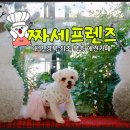 짜세프렌즈 이미지