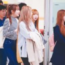 예인 이미지