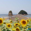 꽃지숙박 이미지