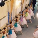 성인발레 이미지