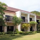 스위트 피피 이미지