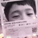 부천베가스어학원